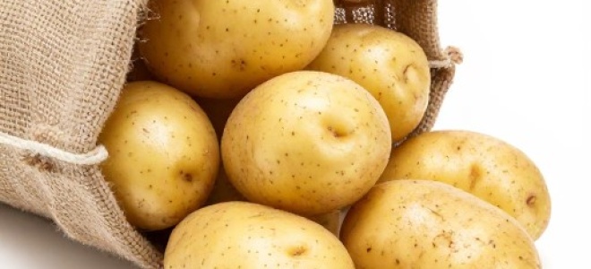 Обработка картофеля перед посадкой для повышения урожайности и защиты от вредителей