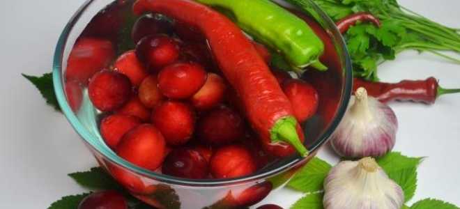 Маринованная алыча