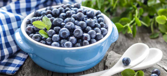 Как правильно заморозить чернику на зиму в холодильнике: 5 способов заморозки — Сусеки