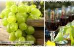 Как в домашних условиях приготовить вино из виноградного сока