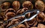 Скорлупа грецкого ореха: применение в огороде, как удобрение