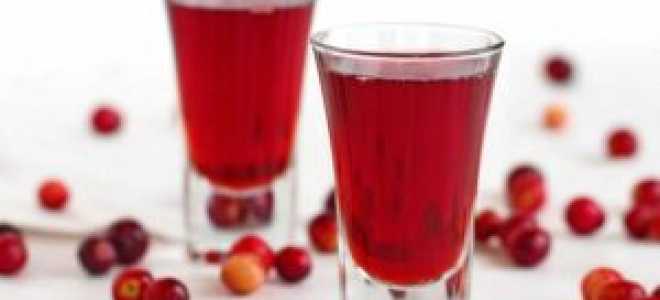 Настойка из клюквы на водке и спирту в домашних условиях: рецепты