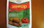 Зенкор: инструкция по применению гербицида на картофеле