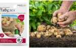 Препарат «Табу» — как защитить картофель от проволочника и колорадского жука
