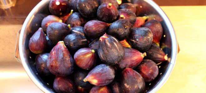 Как приготовить джем из инжира с лимоном на зиму в домашних условиях – пошаговый рецепт — Сусеки