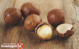 Орех макадамия — польза и вред для здоровья человека
