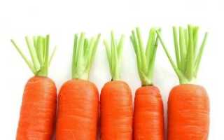 Самые лучшие сорта моркови для Сибири