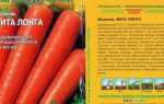 Лучшие сорта моркови для хранения на зиму — обзор и отзывы
