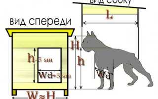 Конура для собаки своими руками: пошаговые инструкции, чертеж, как утеплить будку на зиму с видео