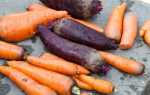 Как хранить свеклу и морковь на зиму правильное хранение