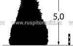 Кипарисовик Лавсона — внешний вид, условия для выращивания