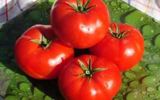 Обзор лучших сортов низкорослых помидор для теплиц и открытого грунта