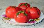 Армянчики» из красных помидоров: рецепты приготовления