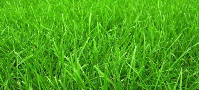 Бензокоса Штиль (Stihl) fs 55, fs 38, fs 130